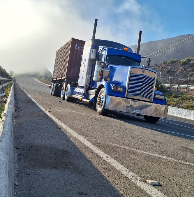 WhatsApp Image 2026-01-23 at 12.08.08 p.m.